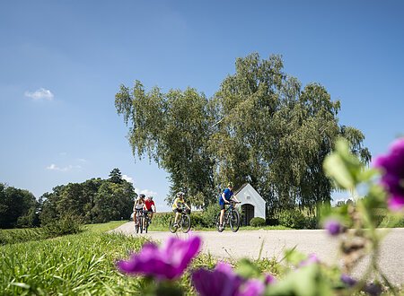 Drei Personen fahren auf Fahrrädern auf einem Weg, im Hintergrund Bäume und eine kleine Kapelle. Im Vordergrund unscharfe Blumen.